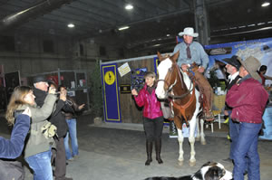 Verona Horse Fair